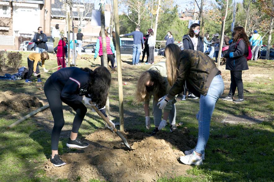 Plantación de Árboles por parte de Niños y Niñas del Consejo de la Infancia - Panorámica de los  jóvenes y los coordinadores plantando  los árboles.
