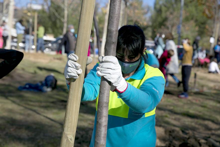 Plantación de Árboles por parte de Niños y Niñas del Consejo de la Infancia -  Primer plano de una jardinera  sujetando un árbol.