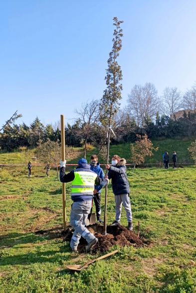 Alumnos y operarios en un momento de la plantación de árbol.