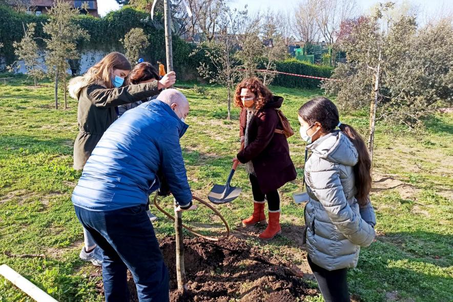 Momento de la plantación de un árbol.