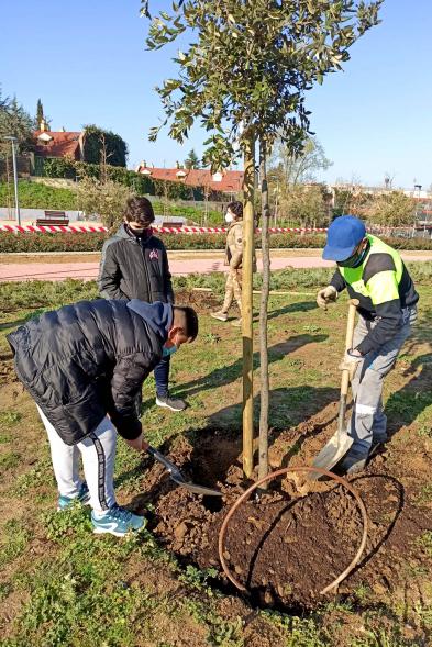 Momento de la plantación de un árbol.