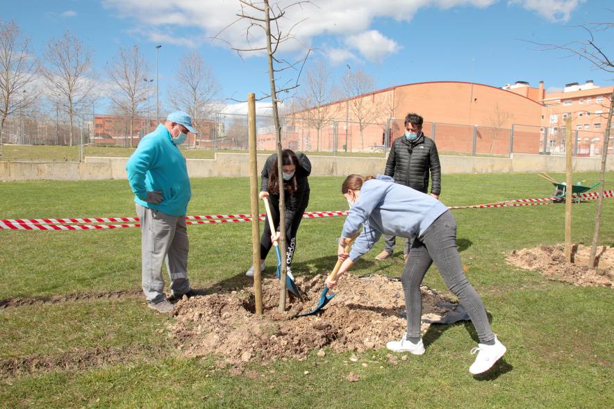 Momento de la plantación de un árbol.