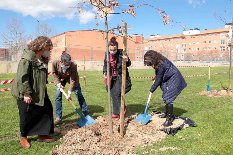 Miembros del consistorio en uno de los momentos de la plantantacion. 