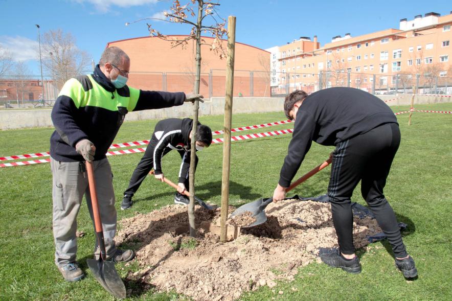 Operario y alumnos del SEIS Aldebarán V. plantando un árbol.