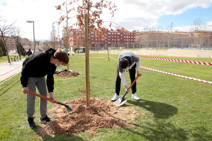 Alumnos en un momento de la plantación de un árbol.