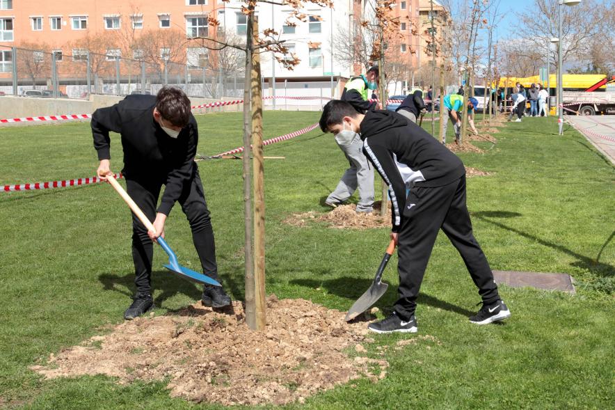 Plantación "Un Árbol por Nuestro Futuro"