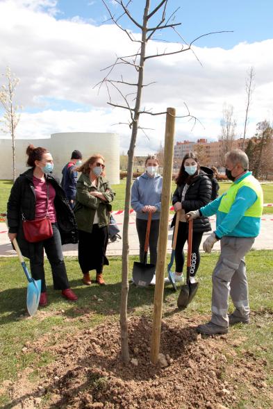 Momento de la plantación de un árbol. 