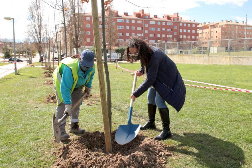 Plantación "Un Árbol por Nuestro Futuro" 