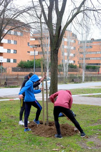 Participantes. Plantación de Árboles en el Arroyo de la Vega