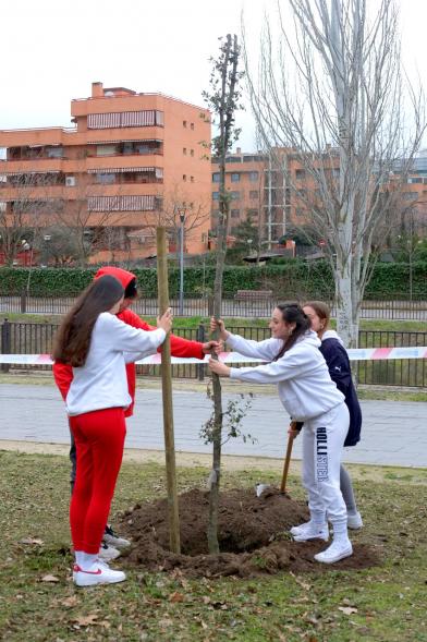 Participantes. Plantación de Árboles en el Arroyo de la Vega