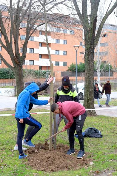 Participantes. Plantación de Árboles en el Arroyo de la Vega