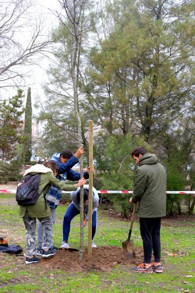 Participantes. Plantación de Árboles en el Arroyo de la Vega