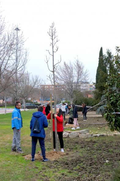 Participantes. Plantación de Árboles en el Arroyo de la Vega
