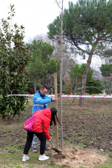 Participantes. Plantación de Árboles en el Arroyo de la Vega