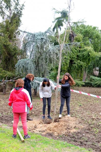 Participantes. Plantación de Árboles en el Arroyo de la Vega