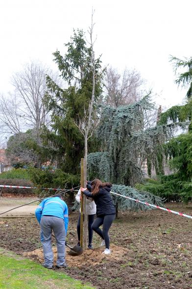 Participantes. Plantación de Árboles en el Arroyo de la Vega