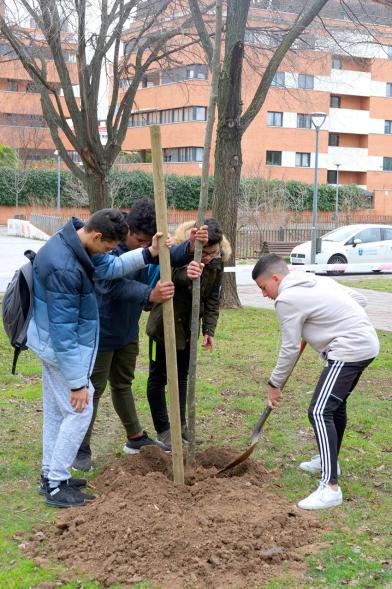 Participantes. Plantación de Árboles en el Arroyo de la Vega