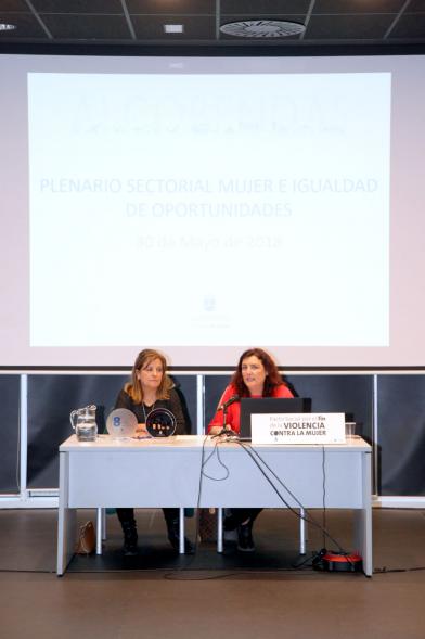 Plenario de Mujer e Igualdad de Oportunidades -  Imagen de las ponentes.