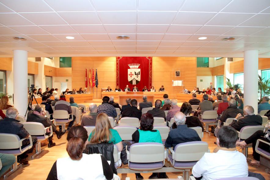 Sesión plenaria vista desde el fondo del salón de plenos