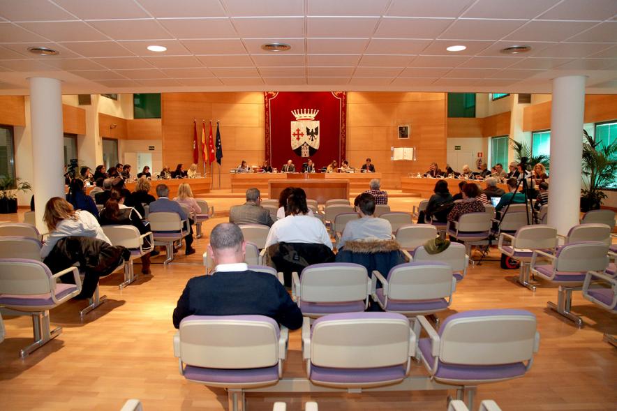 Sesión plenaria vista desde el fondo del salón de plenos