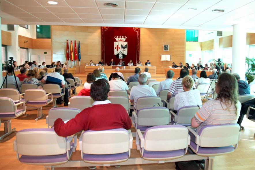 Sesión plenaria vista desde el fondo del salón de plenos