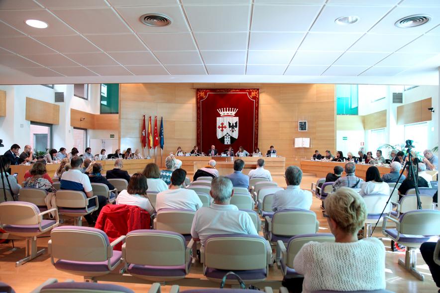 Sesión plenaria vista desde el fondo del salón de plenos