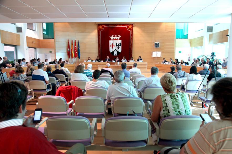 Sesión plenaria vista desde el fondo del salón de plenos