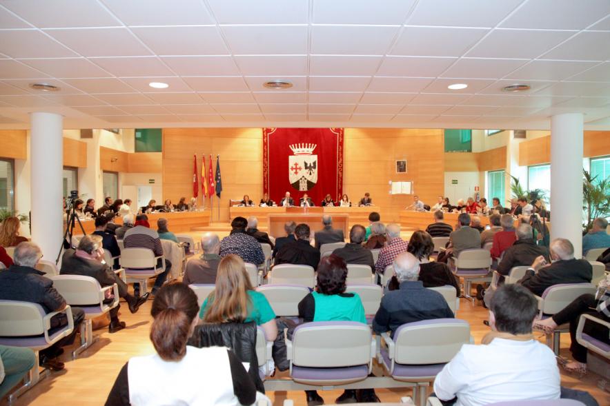 Sesión plenaria vista desde el fondo del salón de plenos