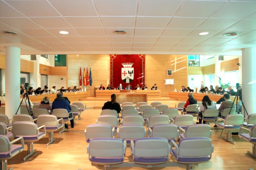Sesión plenaria vista desde el fondo del salón de plenos
