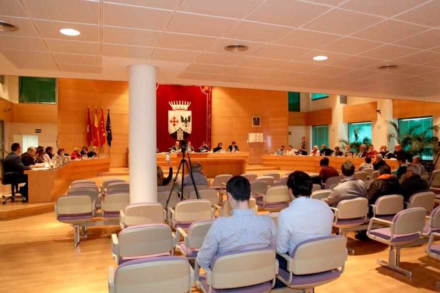 Sesión plenaria vista desde el fondo del salón de plenos