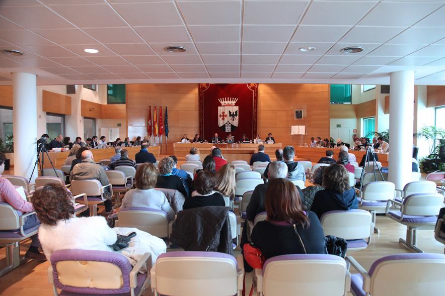 Sesión plenaria vista desde el fondo del salón de plenos