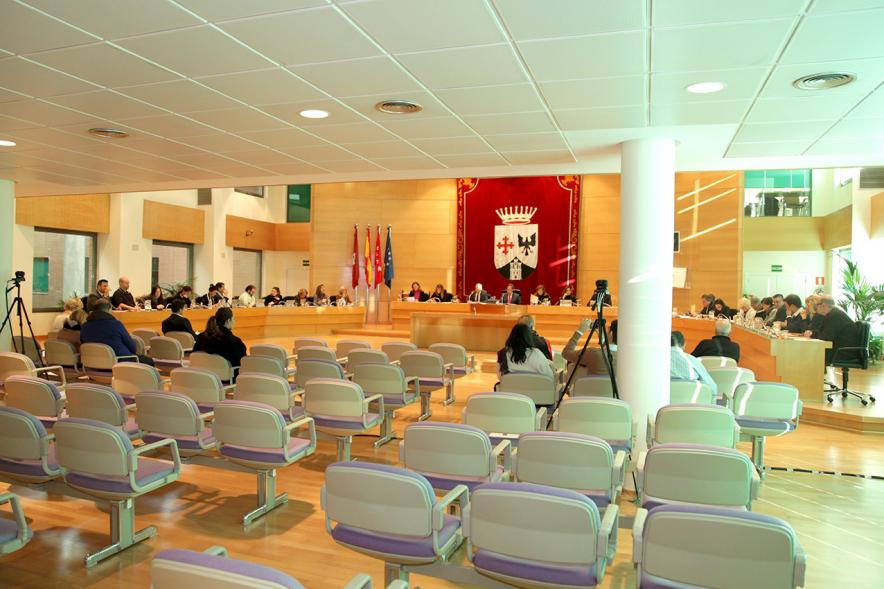 Sesión plenaria vista desde el fondo del salón de plenos