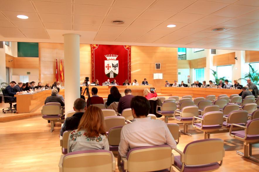 Sesión plenaria vista desde el fondo del salón de plenos