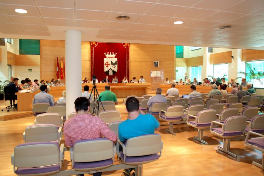 Sesión plenaria vista desde el fondo del salón de plenos