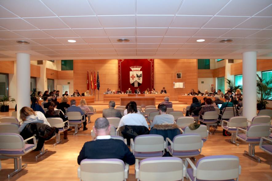 Sesión plenaria vista desde el fondo del salón de plenos