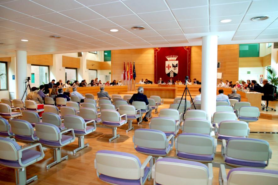 Sesión plenaria vista desde el fondo del salón de plenos