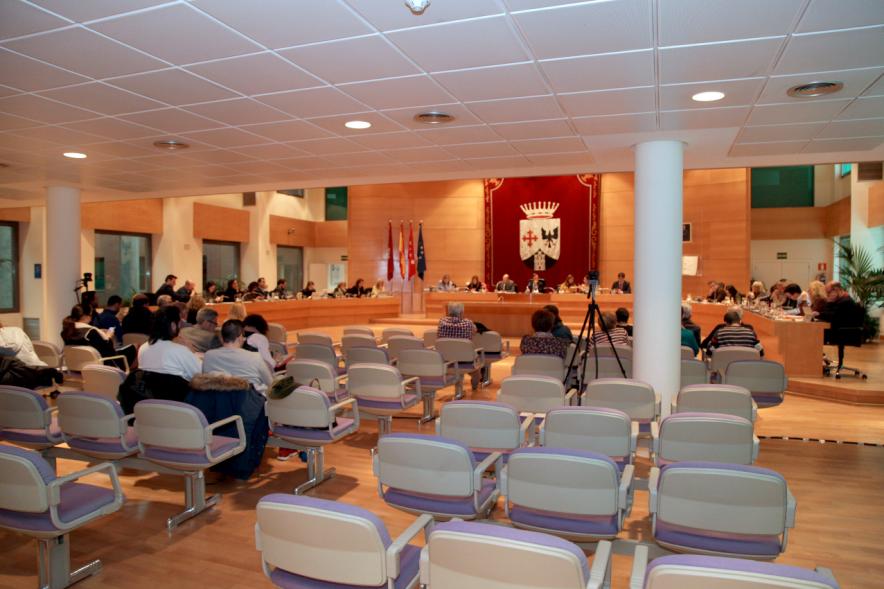 Sesión plenaria vista desde el fondo del salón de plenos