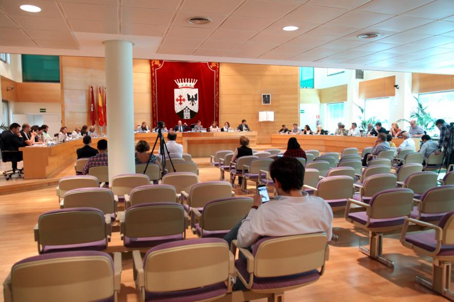 Sesión plenaria vista desde el fondo del salón de plenos