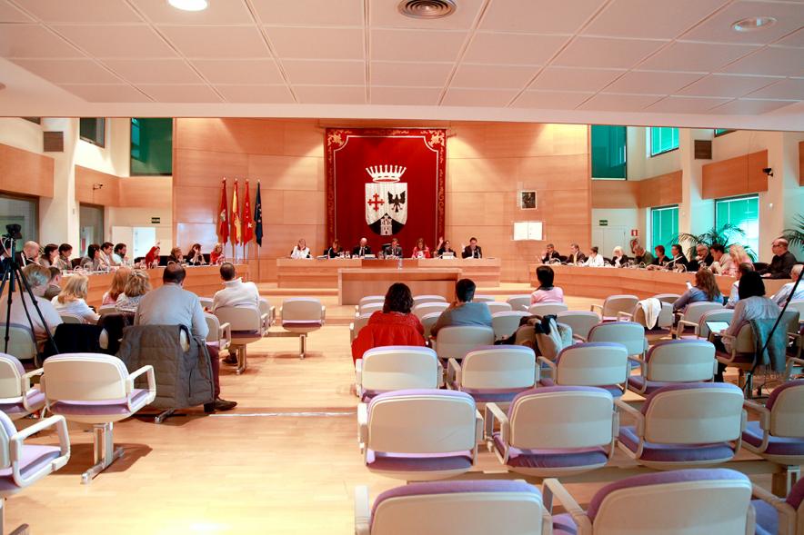 Sesión plenaria vista desde el fondo del salón de plenos
