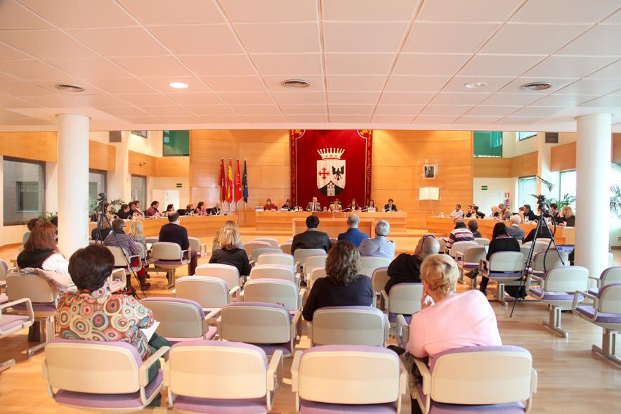 Sesión plenaria vista desde el fondo del salón de plenos