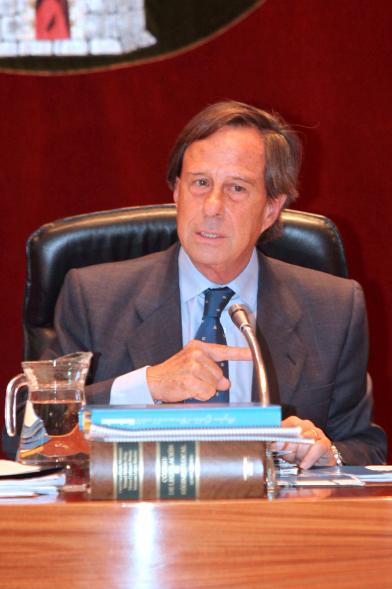 Alcalde García De Vinuesa durante la sesión plenaria