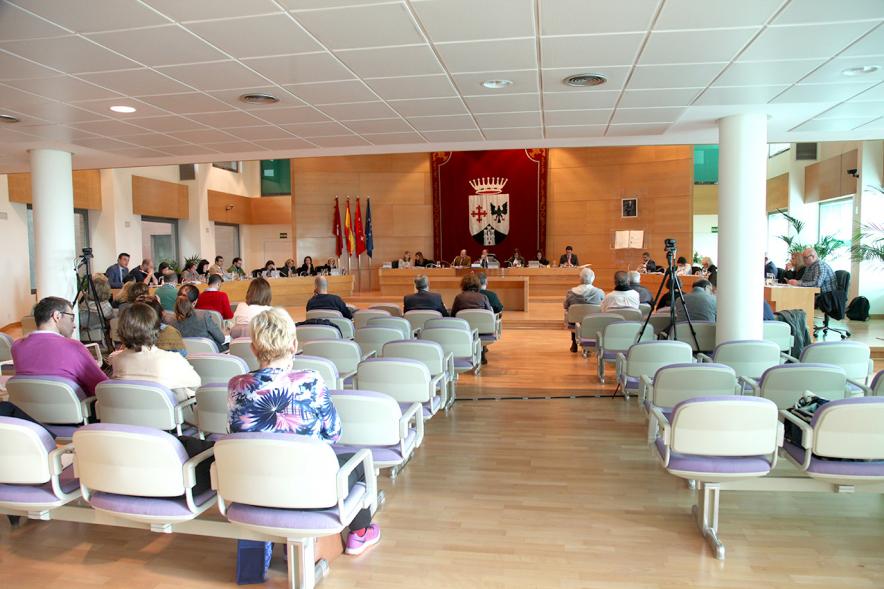 Sesión plenaria vista desde el fondo del salón de plenos