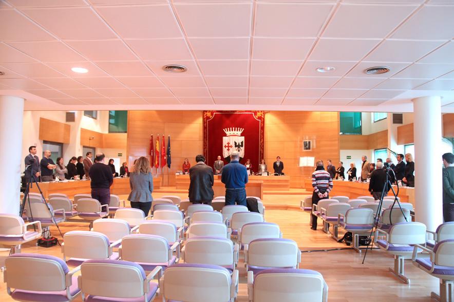 Sesión plenaria vista desde el fondo del salón de plenos