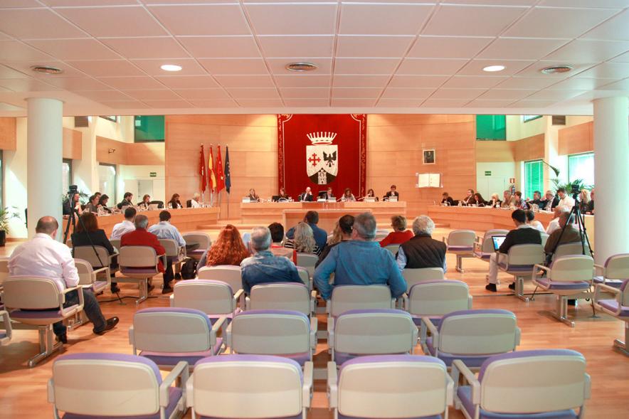 Sesión plenaria vista desde el fondo del salón de plenos