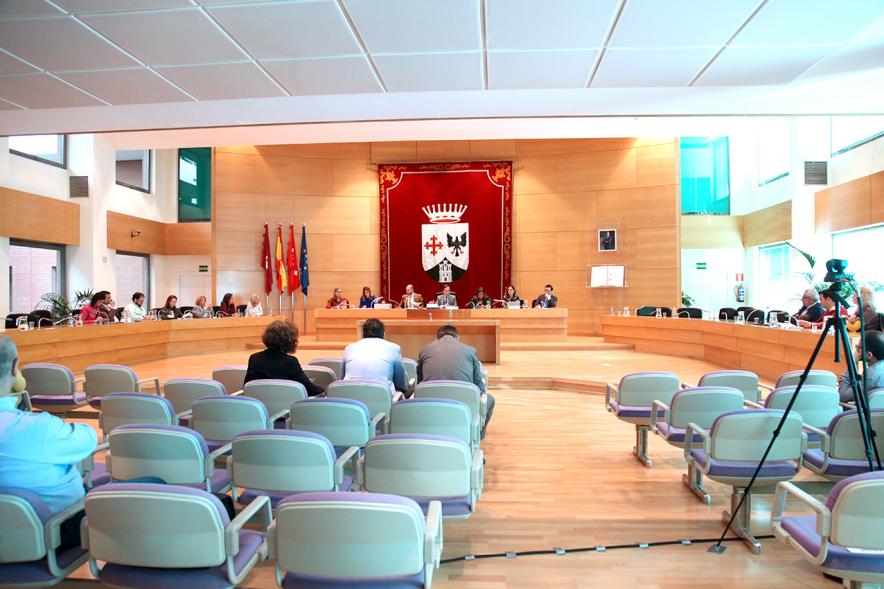 Sesión plenaria vista desde el fondo del salón de plenos