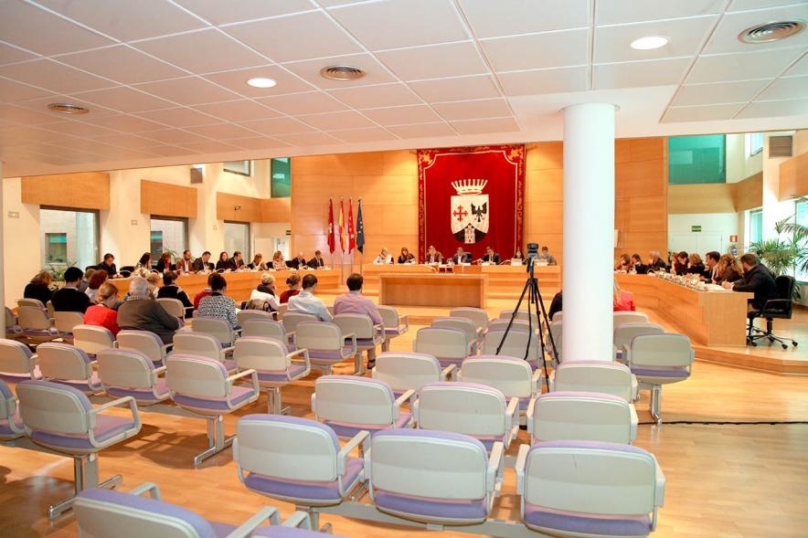 Sesión plenaria vista desde el fondo del salón de plenos