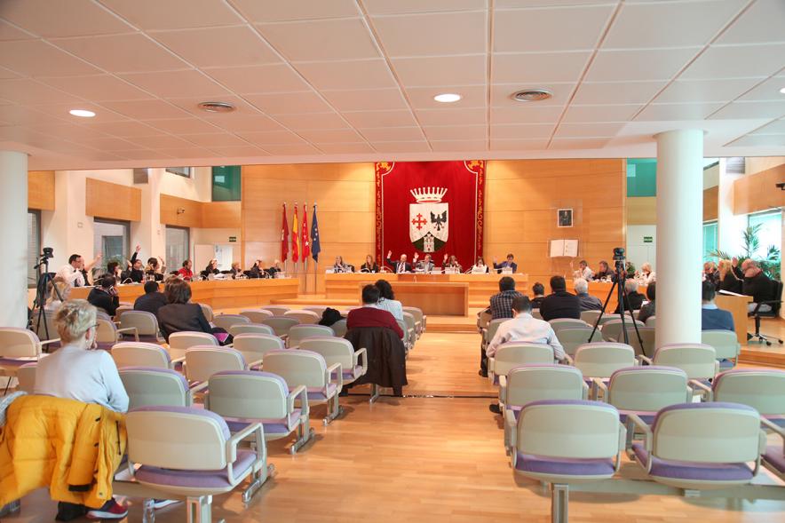 Sesión plenaria vista desde el fondo del salón de plenos