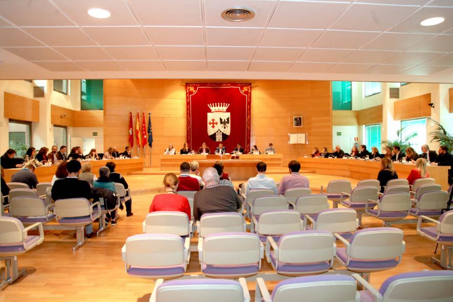 Sesión plenaria vista desde el fondo del salón de plenos