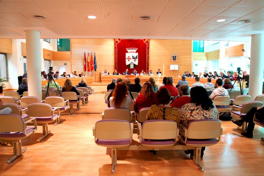 Sesión plenaria vista desde el fondo del salón de plenos