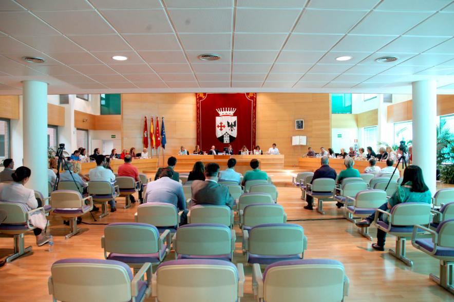 Sesión plenaria vista desde el fondo del salón de plenos